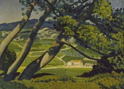 Trees, Provence, 1912 by Derwent Lees